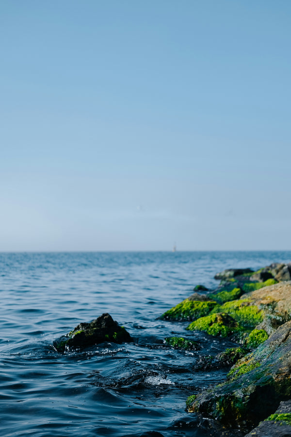 🌬️ Marine Algae Minerals: Airy Aquarian Hydration