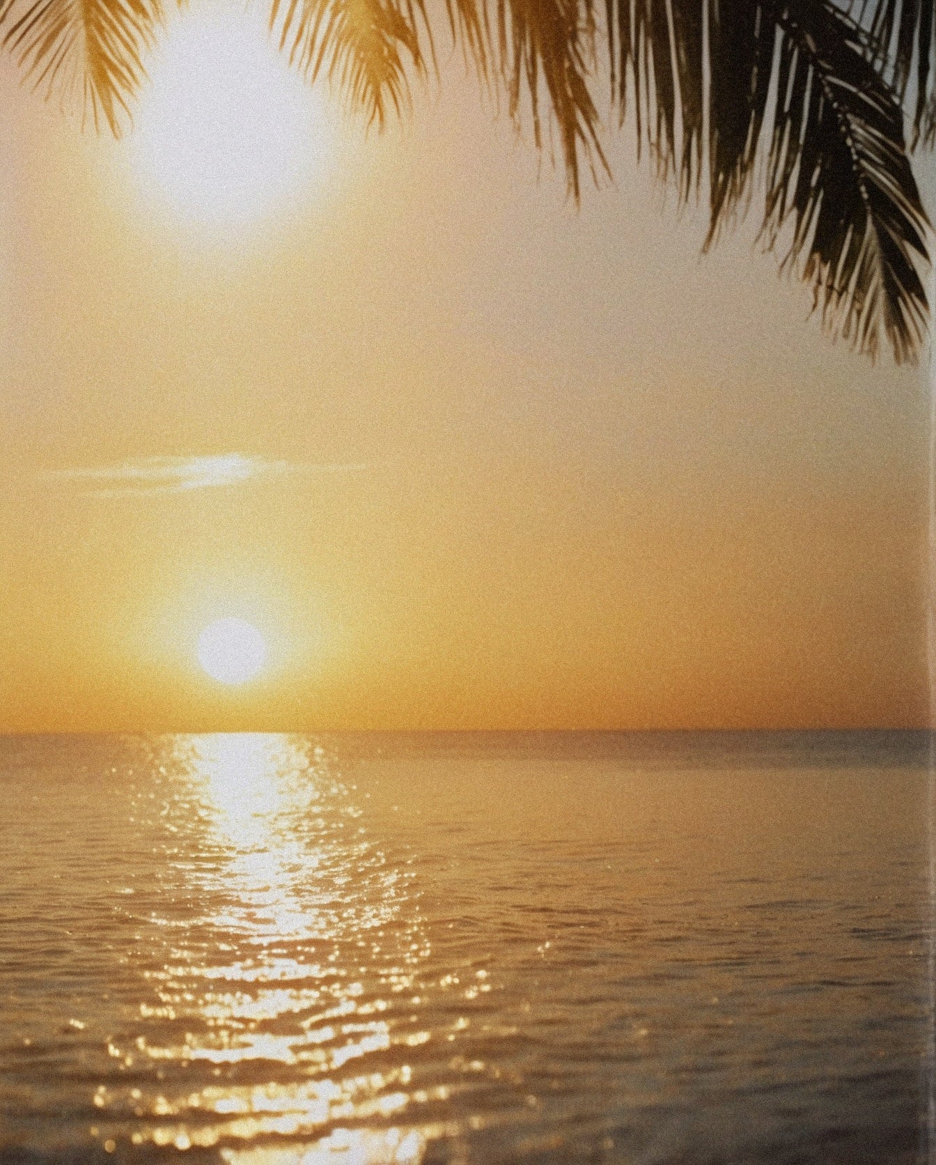 Midsummer sun · Leo