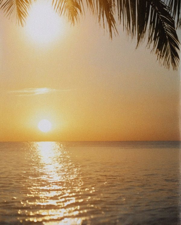 Midsummer sun · Leo